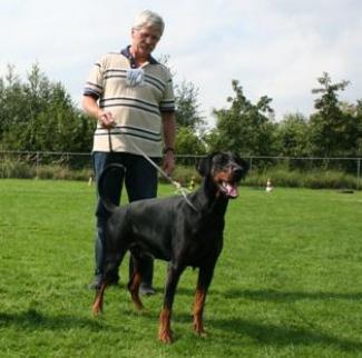 Dana Les Deux Peupliers | Black Doberman Pinscher