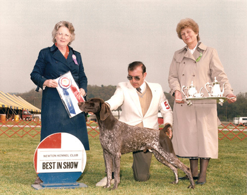 Robin Crest Lorien Corniche | German Shorthaired Pointer 