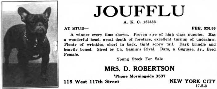 Joufflu (1914) 186633 | French Bulldog 