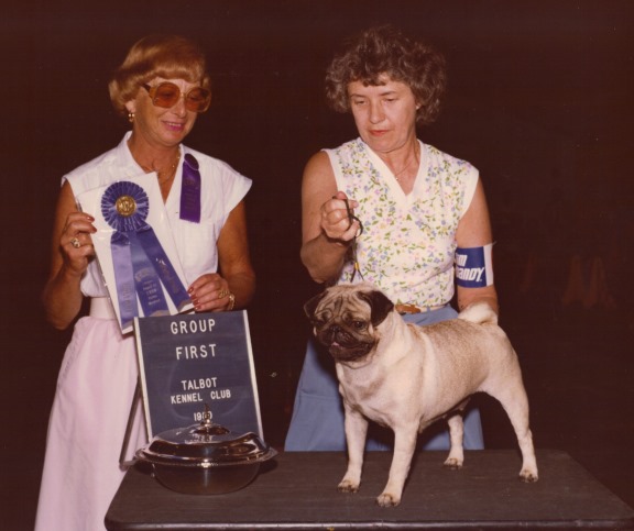 Sheffield's Country Cousin | Pug 