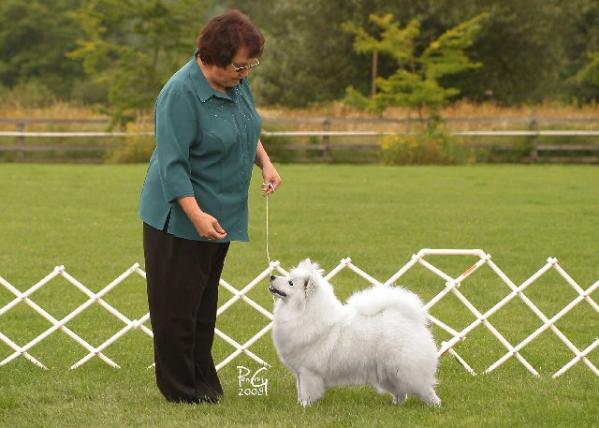 Kiva-AH's A Moment In Time | American Eskimo Dog 