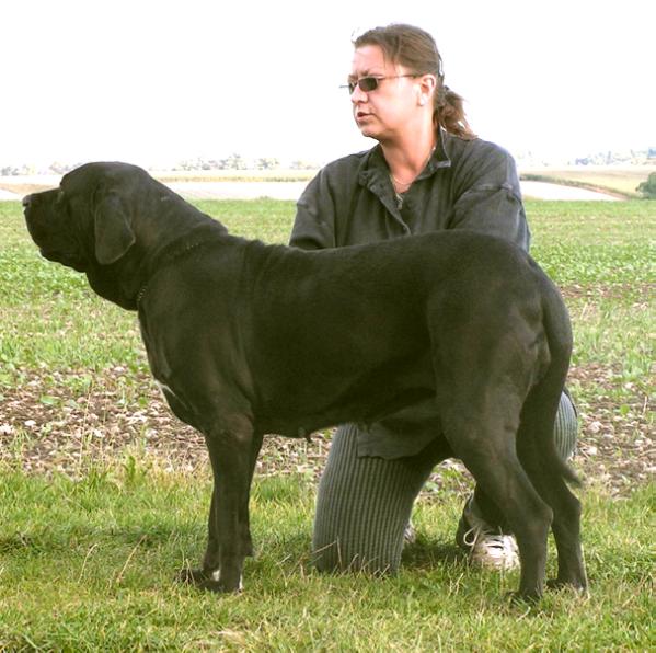 Caria ze Šakalího dvora | Fila Brasileiro 