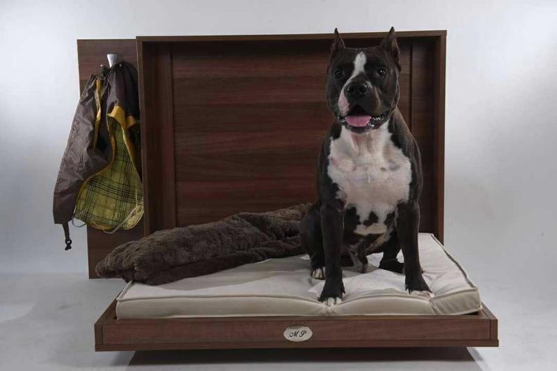 Color Me Black Inferno Staff | American Staffordshire Terrier 