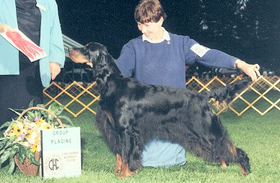 Tri-Sett Quick Kassandra | Gordon Setter 