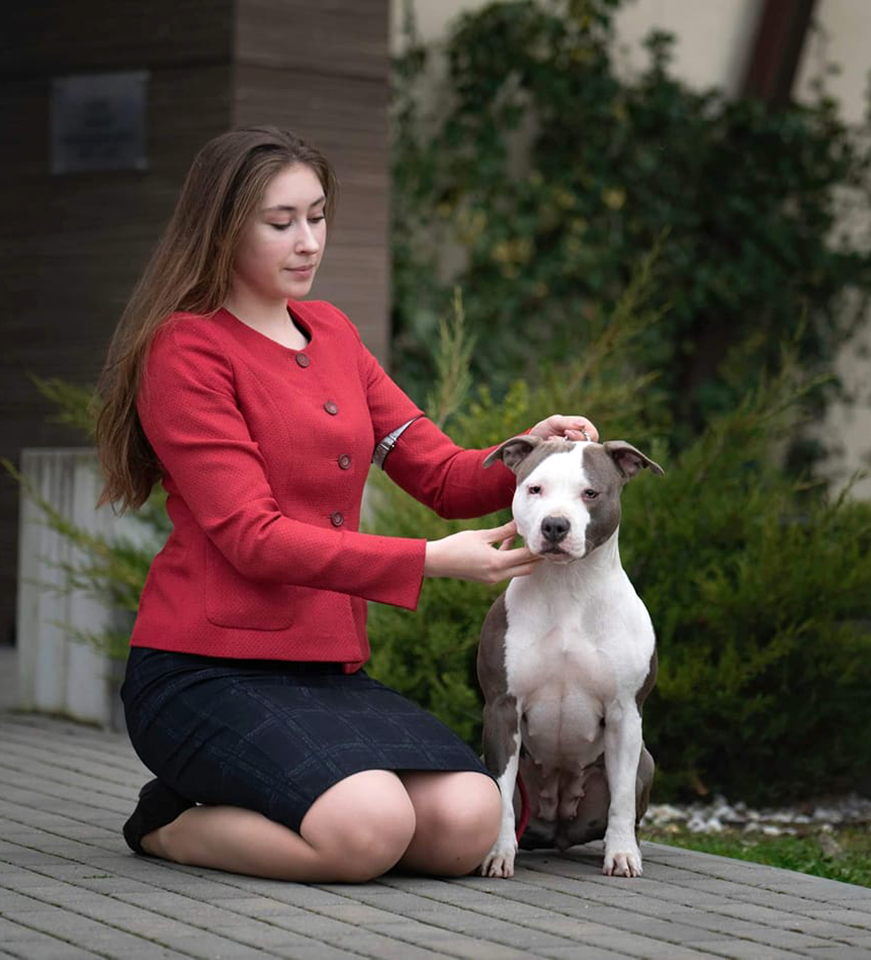 Srcky's Golden Rose | American Staffordshire Terrier 