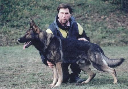 Dingo von Conneforde | German Shepherd Dog 