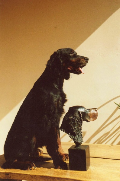Peddy du buisson au cerf | Gordon Setter 