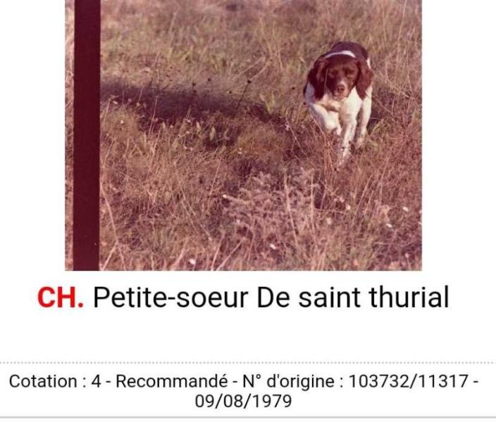 PETITE-SOEUR de Saint Thurial | Brittany 