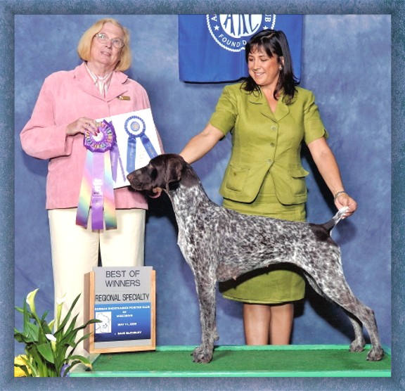 VJK-Myst Scores For Khrispats | German Shorthaired Pointer 