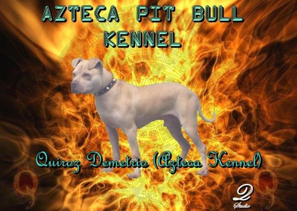 Quiroz Demetrio (Azteca Kennel`s) | American Pit Bull Terrier 