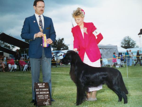 Karisma's Indigo Blue Max | Flat-Coated Retriever 