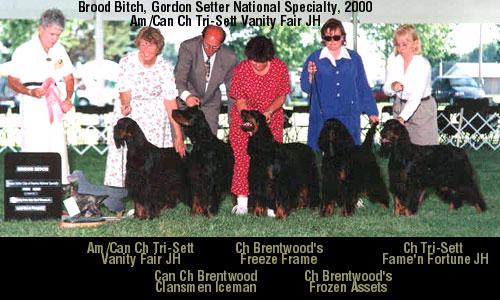 Tri-Sett Vanity Fair | Gordon Setter 