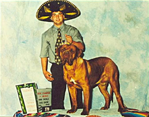 Tanakajd Szepe Oliver | Dogue de Bordeaux 