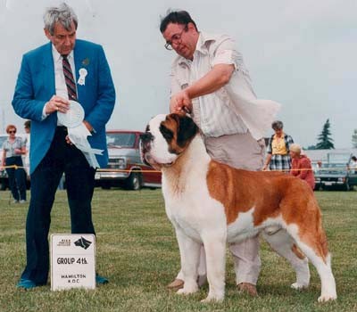 BENBARON'S YONDO VON GIZER | Saint Bernard 