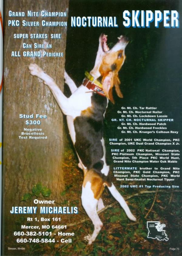 Nocturnal Skipper | Treeing Walker Coonhound 