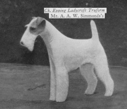 Epping Ladycroft Truform | Wire Fox Terrier 