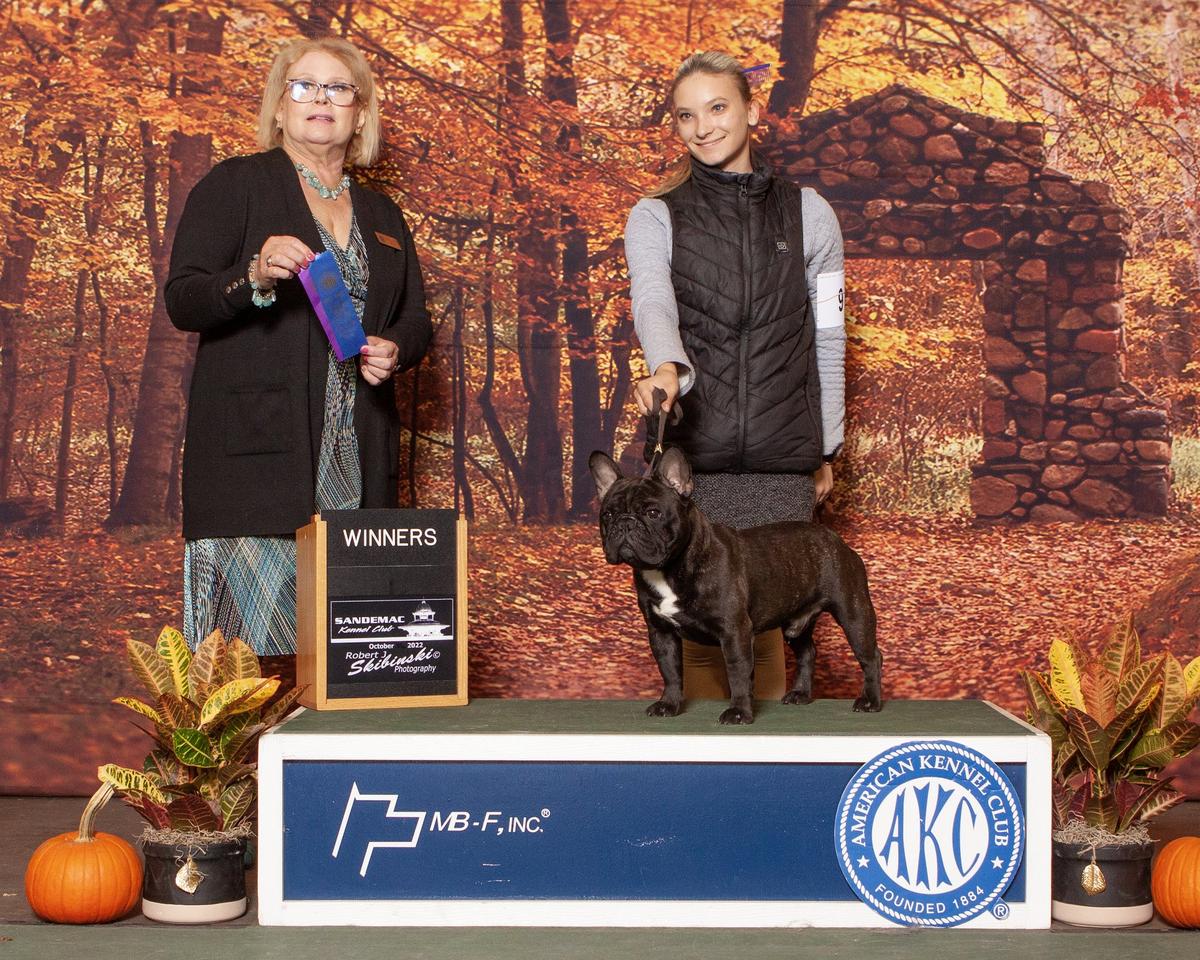 KERSEY'S RISING PHOENIX - "PRIDE" AT JNJ | French Bulldog 