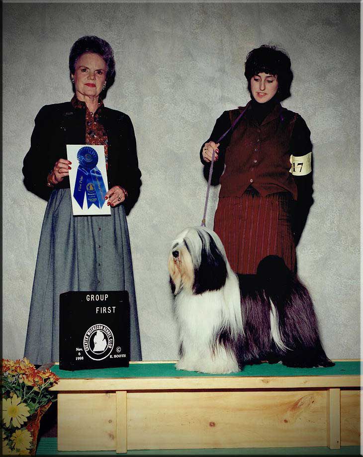 REGALIA'S INTERNATIONAL VELVET | Tibetan Terrier 