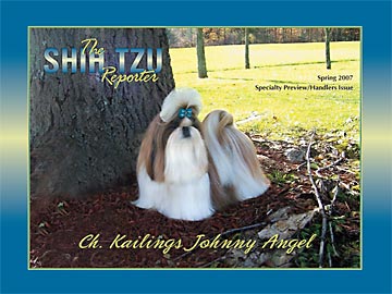 Kailings Johnny Angel | Shih Tzu 