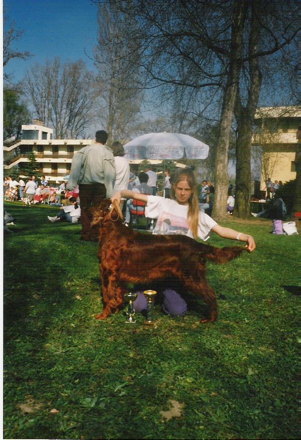 Buffaló Lunch Fime | Irish Setter 