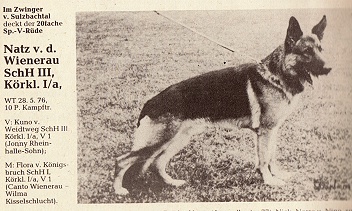 Natz von der Wienerau | German Shepherd Dog 