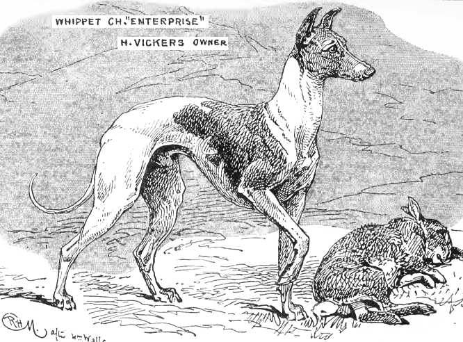 Enterprise [H. Vickers] | Whippet 