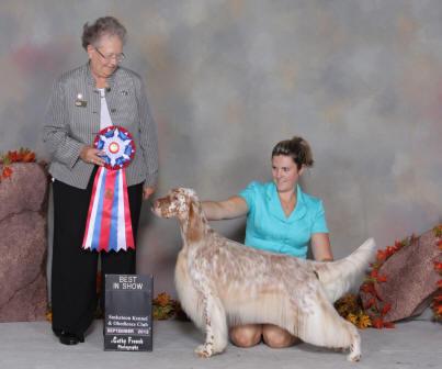 Sagebrush Bull Mtns Judee | English Setter 