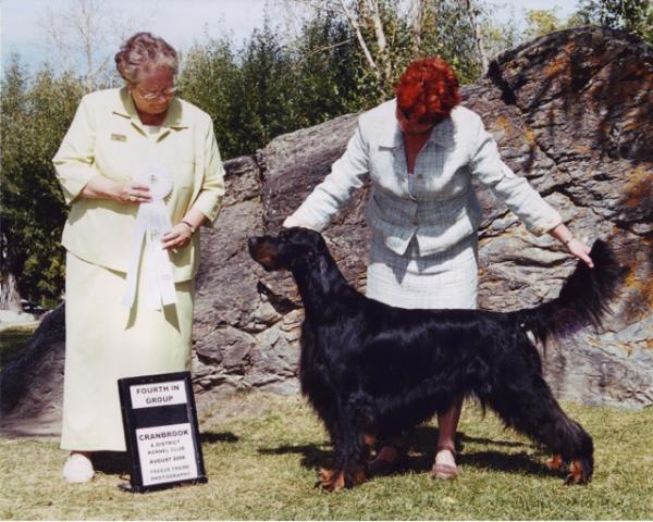 Sassenach Road Warrior | Gordon Setter 