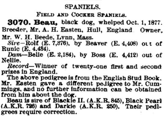 Beau (1877) AKR 003070 | Field Spaniel 