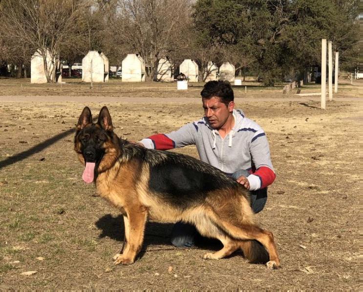 Xafira Von Haus Rügen | German Shepherd Dog 