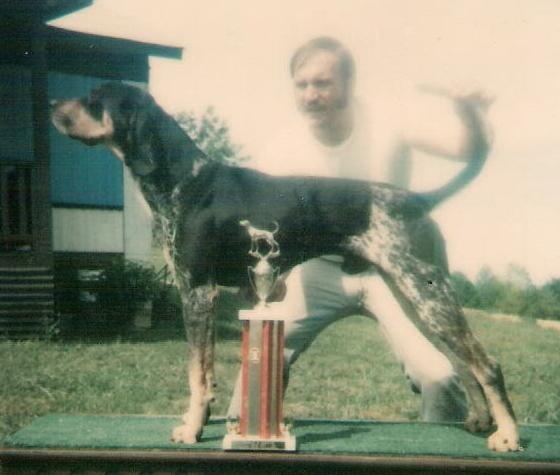 Vaughn's Blue King | Bluetick Coonhound 