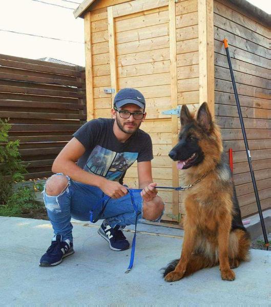 Cira Vom Storociuc | German Shepherd Dog 