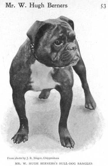 Bangles [Mr. W. Hugh Bernerss's] | Bulldog 