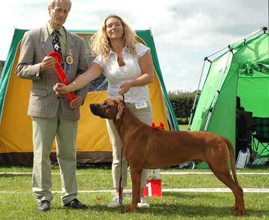 KODUST RV TOUCH O CHILLI | Rhodesian Ridgeback 