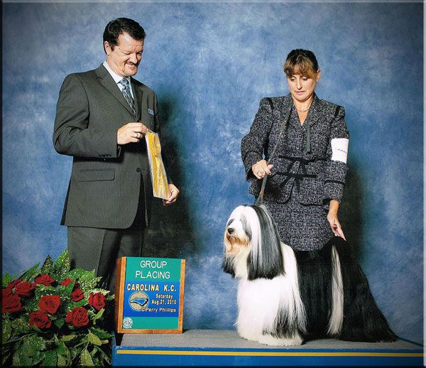 BARNSTORM'S TT CSI | Tibetan Terrier 