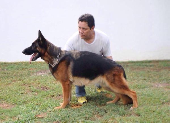 Nanda von den Warsteiner Quellen | German Shepherd Dog 