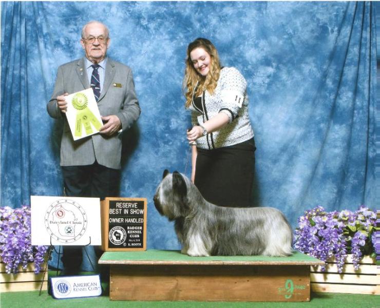 High Road Hunter's Moon at Falkor | Skye Terrier 