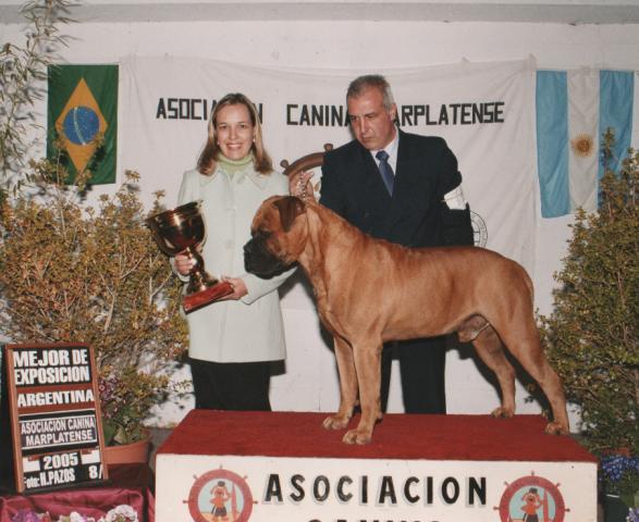 TYRAS DE KRUPP DE ESCOBAR | Bullmastiff 