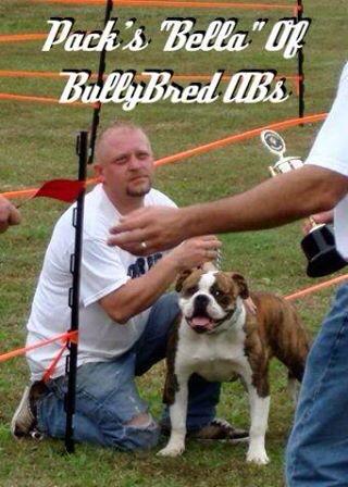 Pack's Rose Bella of Bully Bred | American Bulldog 
