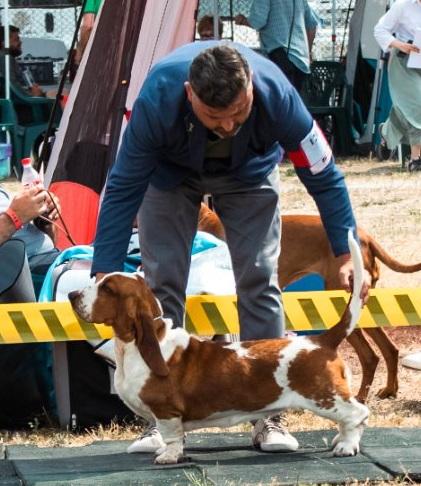 Estate In Rosso Per Lucian | Basset Hound 