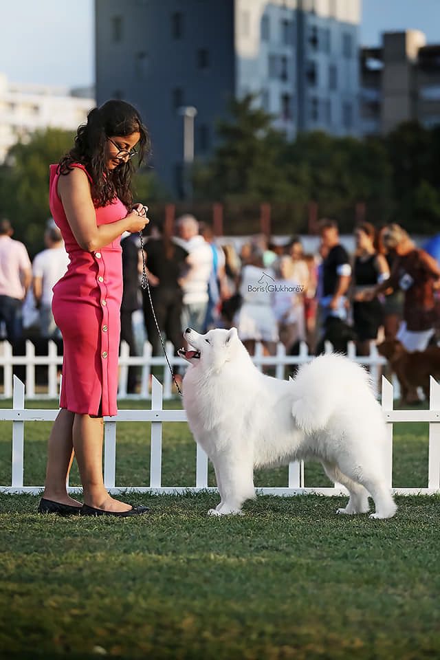 Mishka na Severe Flower Thumbelina | Samoyed 