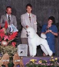 Sharbelle Kisses To Greg Mar | Poodle 