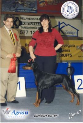 Aegishjalms Galdra Thra | Black Doberman Pinscher