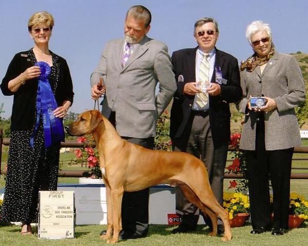 Camelot's Promise To Bakari | Rhodesian Ridgeback 