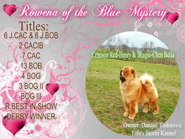 Rowena of the Blue Mystery | Chow Chow 