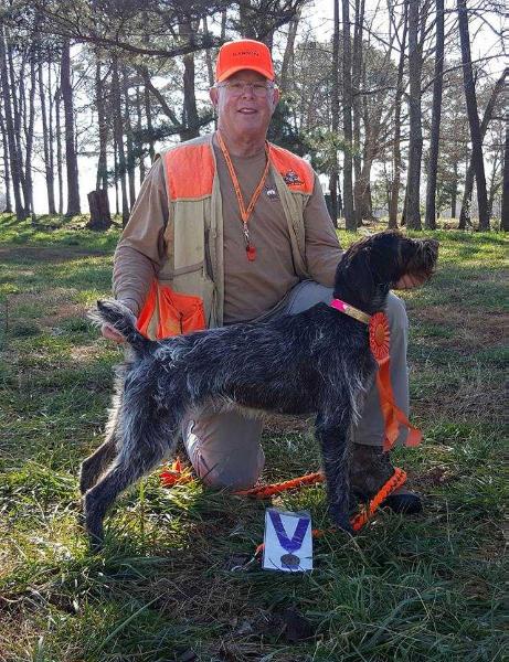 Dusty N Heywire Twix N Mix At Reece | German Wirehaired Pointer 