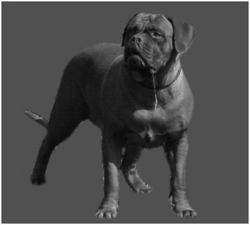 Falane Fendi Lubori-Vanity | Dogue de Bordeaux 
