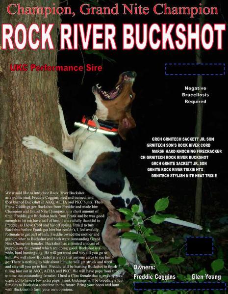 Rock River Buckshot | Treeing Walker Coonhound 