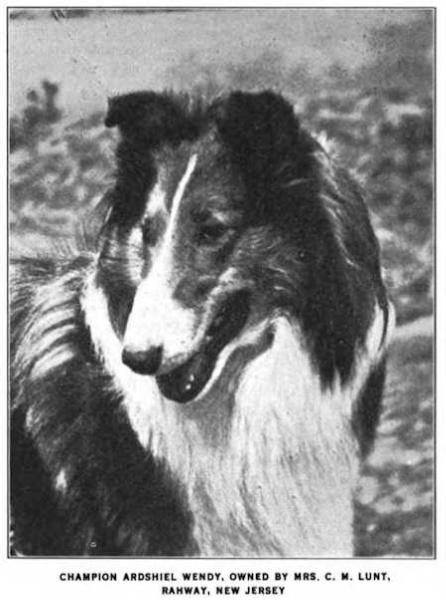 Ardshiel Wendy ([Mrs. C.M. Lunt, Rahway, NJ]) | Rough Collie 