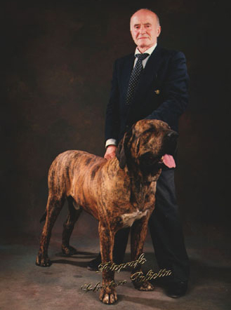 Romario | Fila Brasileiro 